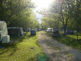 allee ombragee du camping